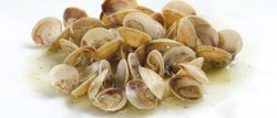 Vongole con Guscio Mediterranea Surgelati Teramo Abruzzo